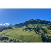 Appartement duplex avec vue sur le domaine skiable