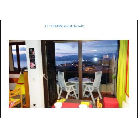 Appartement terrasse 1 chambre