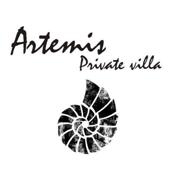 Artemis luxury villa