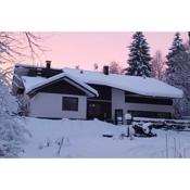 Atmospheric house on riverbank near Arctic Circle