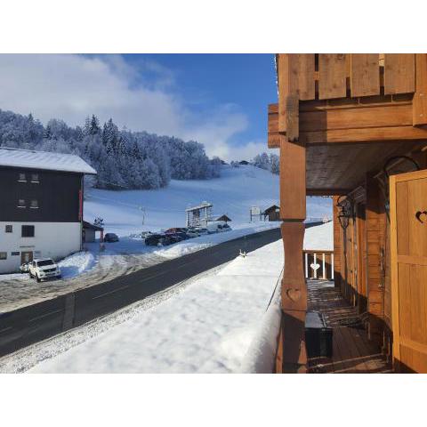 Au Coeur des Pistes, Les Myrtilles et Les Airelles