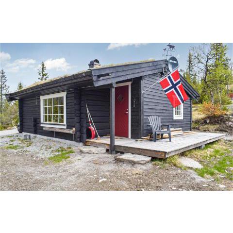 Awesome home in Eggedal with 2 Bedrooms