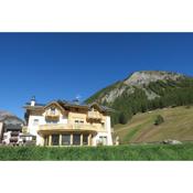 B&B Ecohotel Chalet des Alpes