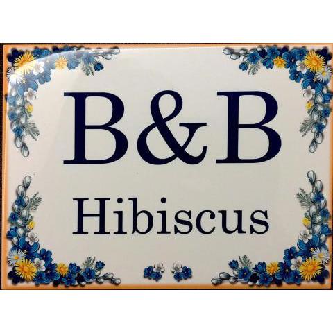 B&B Hibiscus