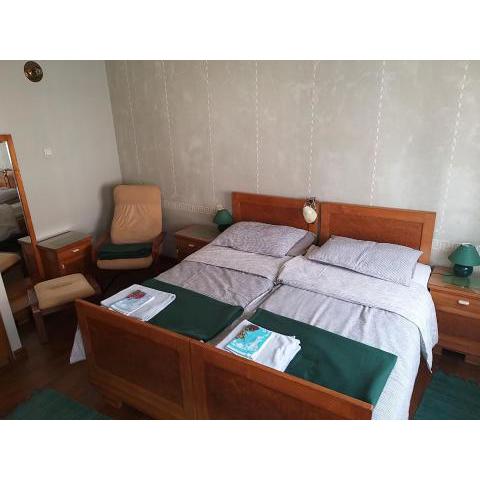 B&B VRANSKO29-Room1960