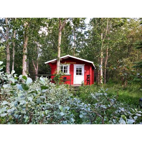 Bakkakot 3 Cozy Cabin In The Woods