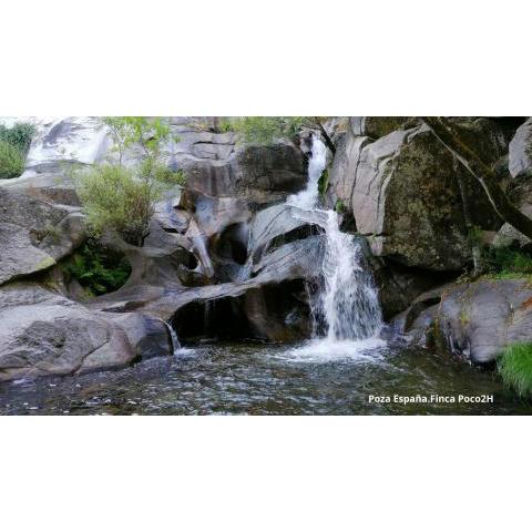 BAÑOS DE BOSQUE SUITES VEGETALES/CASCADAS 10 PERS.