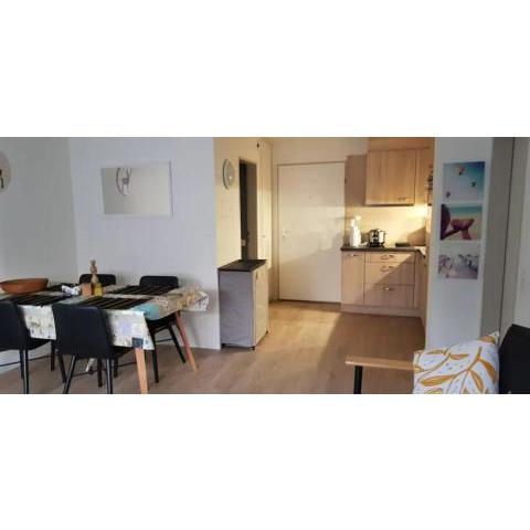 Beautiful 2.5 Room Apartment in Lucerne (Luzern)36