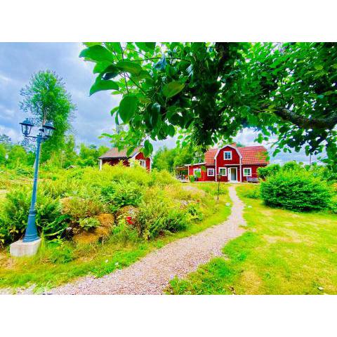 Beautiful country home