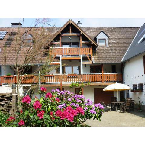 Beautiful holiday home near Hillesheim in the heart of the Volcanic Eifel