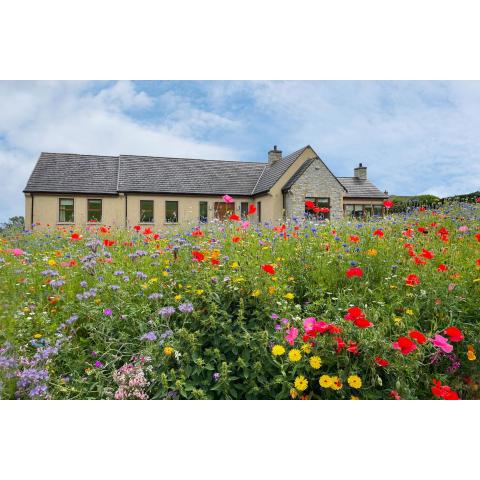 Bells Holiday Homes The Homeplace