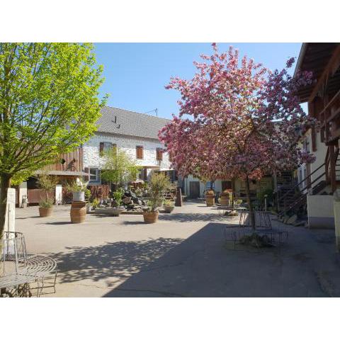 Besondere Ferienwohnung Spirit auf idyllischem Reiterhof nahe Burg Eltz