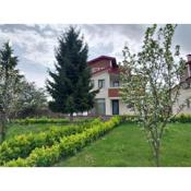 Big garden and sea view villa