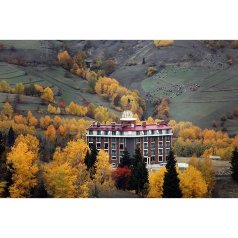 Black Forest Hotel