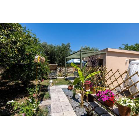 Bougainvillea house with private garden