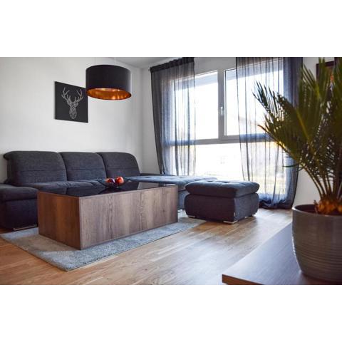 Brand New Apartment, Top Location-Near VIC/Danube