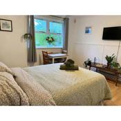 Bright and comfortable studio apartment