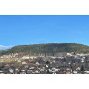 Bright nest with mountain view in Gérardmer