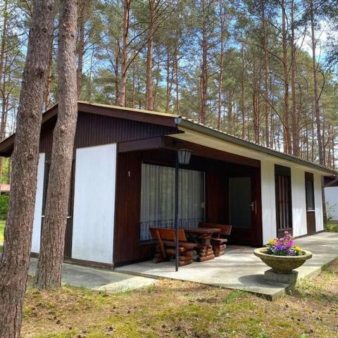 Bungalow im Kiefernwald direkt an der Ostsee (a)