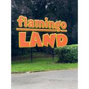 Caravan A114 Willow Grove - Flamingo Land Village