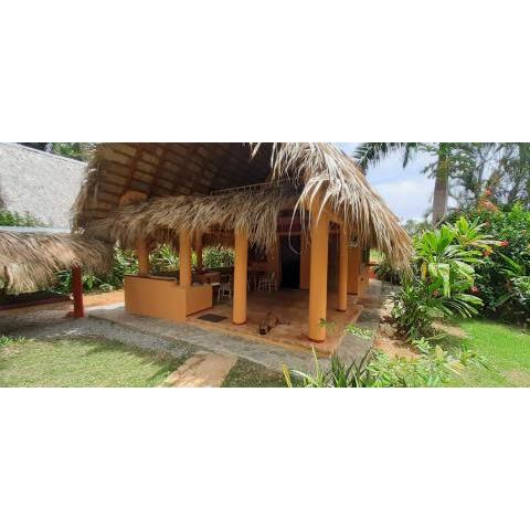 Casa 3 amigos-Palm roofed house