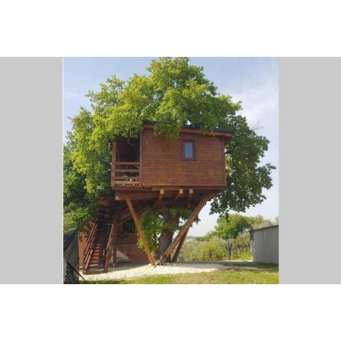 Casa sull'Albero Treehouse Costa dei Trabocchi