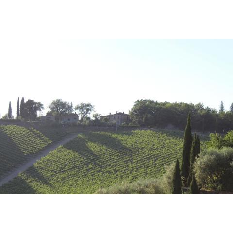 Casa Vacanze Il Gatto nel Chianti