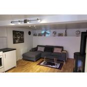 Central and Large cosey apartment