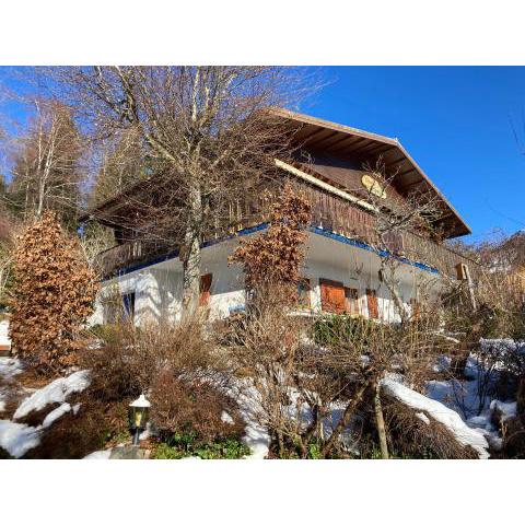 Chalet avec sauna et vue sur le lac