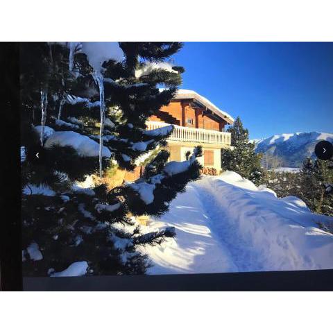 CHALET CAPRICES DES CIMES