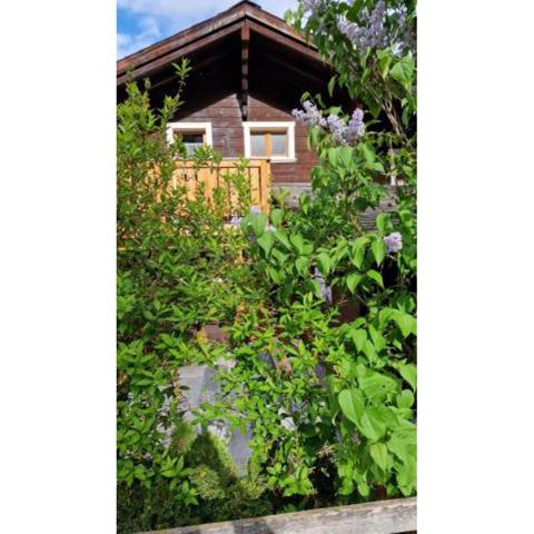 Chalet-Daheim-Fiesch 3,5-Zimmerwohnung