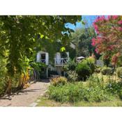 Chambre bananier: maison arborée face à la rivière