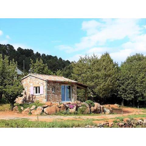 Charming stone Tiny House with communal pool, Chambonas