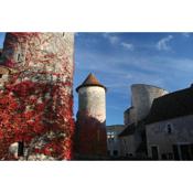 Chateau d'Ingrandes