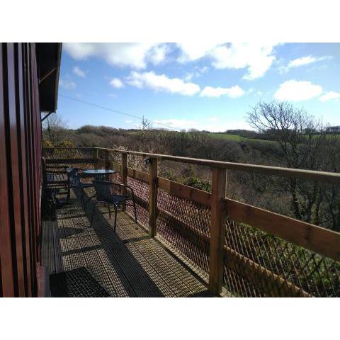 Coastal cabin, spectacular views, doorstep woodland walks, sea 5 mins