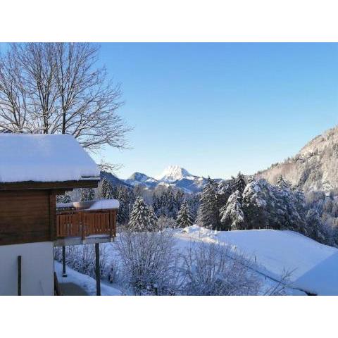 Confortable chalet avec magnifique vue en Gruyère.