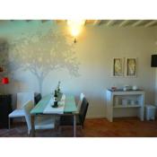 Cosy apartment with swimming pool and garden close to Volterra and S Gimignano