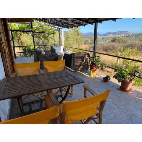 Cosy Calm Cottage in olive trees with sea view