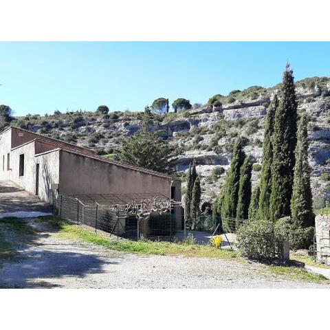 Cosy holiday home in Minerve with garden