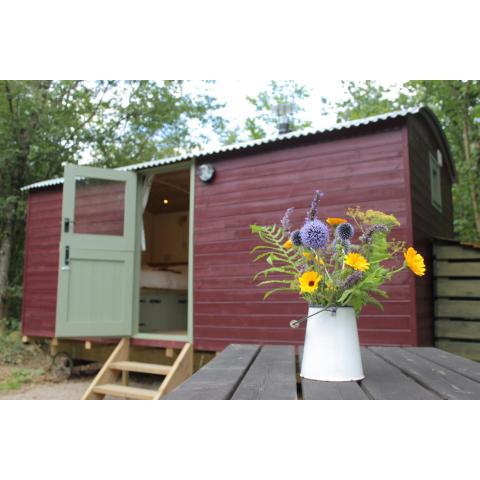 Cosy Shepherd's Hut with Hot Tub