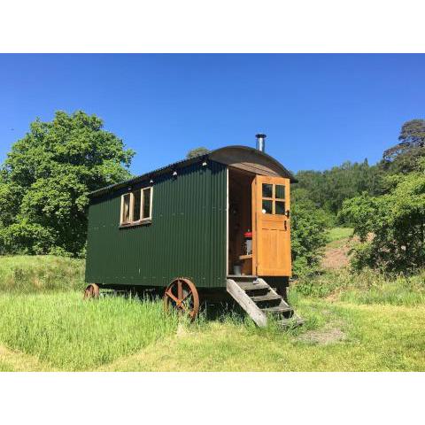 Cosy woodland off Grid Shepherds Hut - Rowan