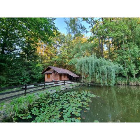 Cottage by the pond Pavel