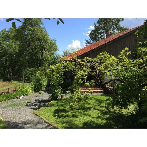 Cottage on Hill