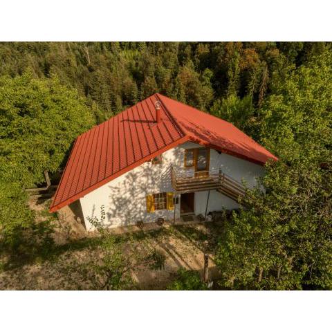 Cottage surrounded by forests - The Sunny Hill