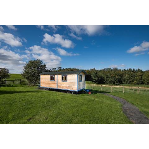 Cow Parsley Shepherd's Hut