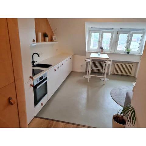 Cozy Apartment in Dusseldorf - Near Messe