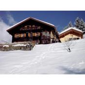 Cozy Apartment in Schruns Vorarlberg near Ski Area Montafon