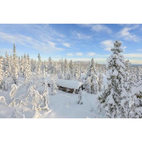 Cozy cabin for outdoor lovers! Need skies, arrive in daylight, and rustique