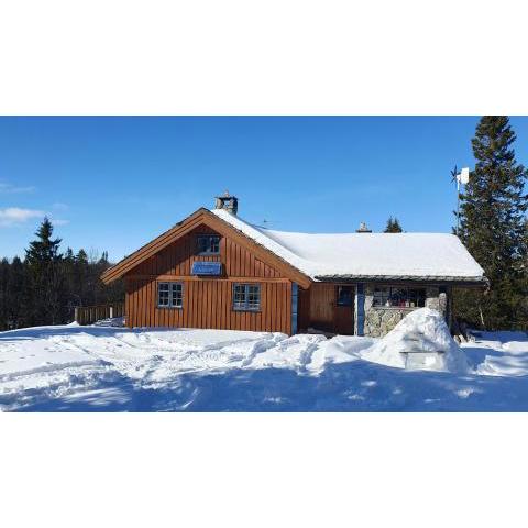 Cozy log cabin at beautiful Nystølsfjellet