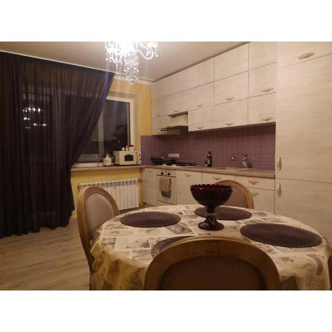 Cozy Narva apartmets 10 min to city center